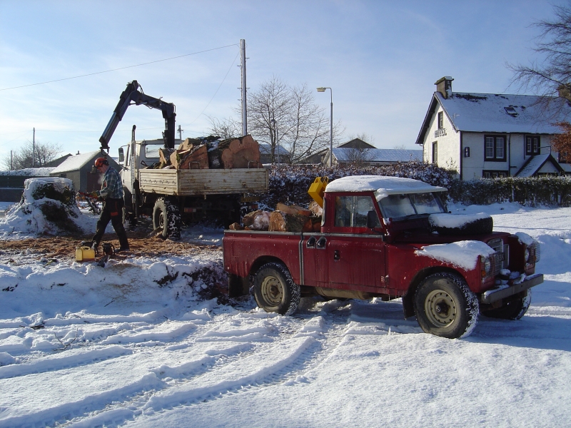 20th February 2010 038